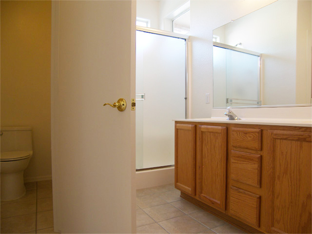 Private wash closet in master bathroom